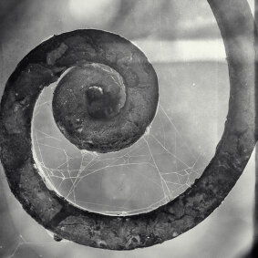 Ruine 05 - Detail