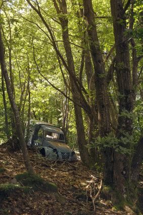 Citroen 2CV Kombi